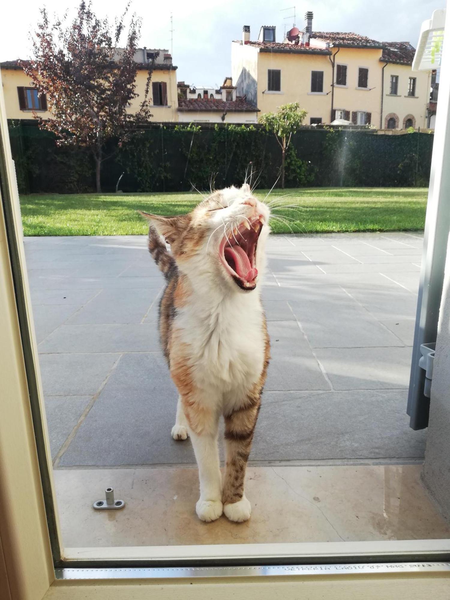 Apartmán Casa Di Pietro Aretino, Arezzo Centro Storico 4-8 Letti Exteriér fotografie